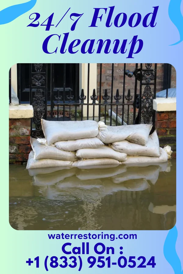 24/7 Flood Cleanup in Wayne Lakes, OH