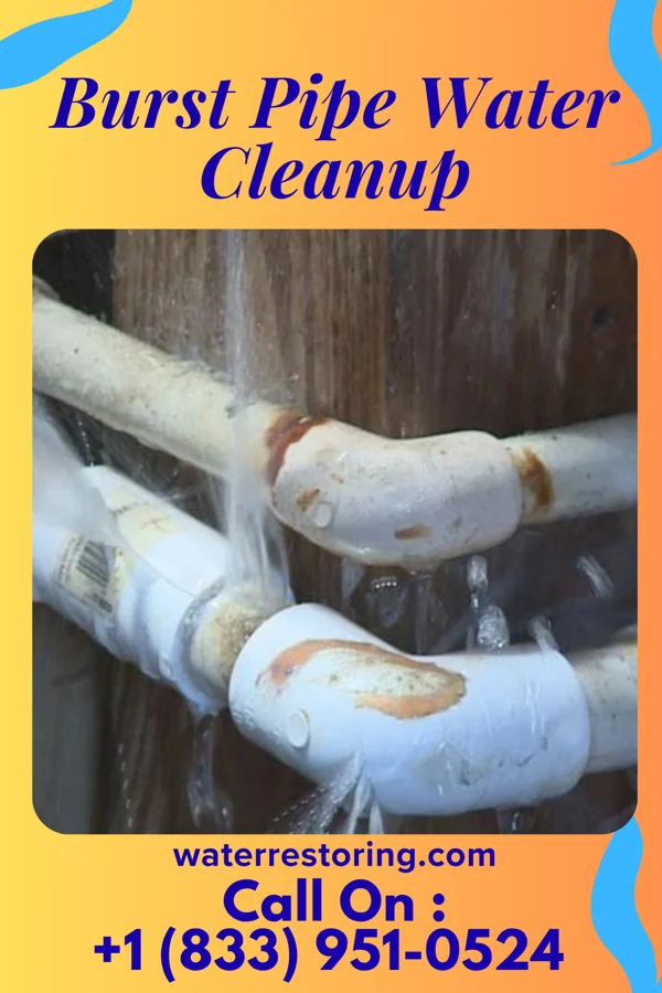Burst Pipe Water Cleanup in Wayne Lakes, OH
