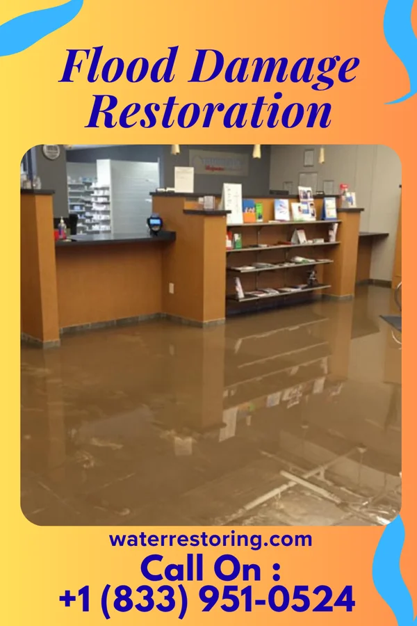 Flood Damage Restoration in Wayne Lakes, OH