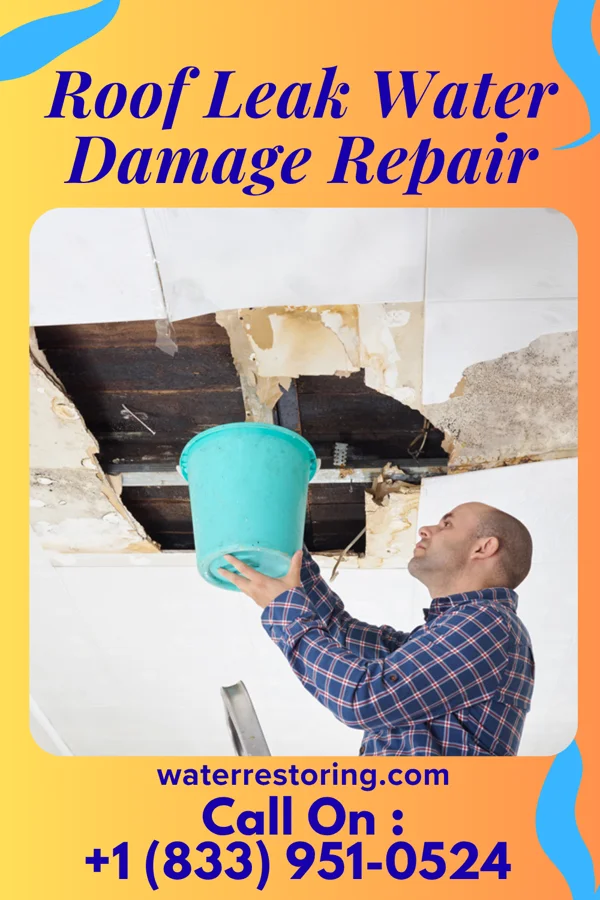 Roof Leak Water Damage Repair in Wayne Lakes, OH