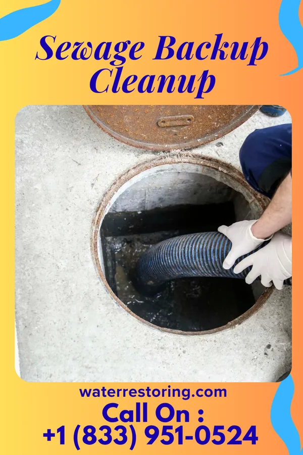 Sewage Backup Cleanup in Wayne Lakes, OH