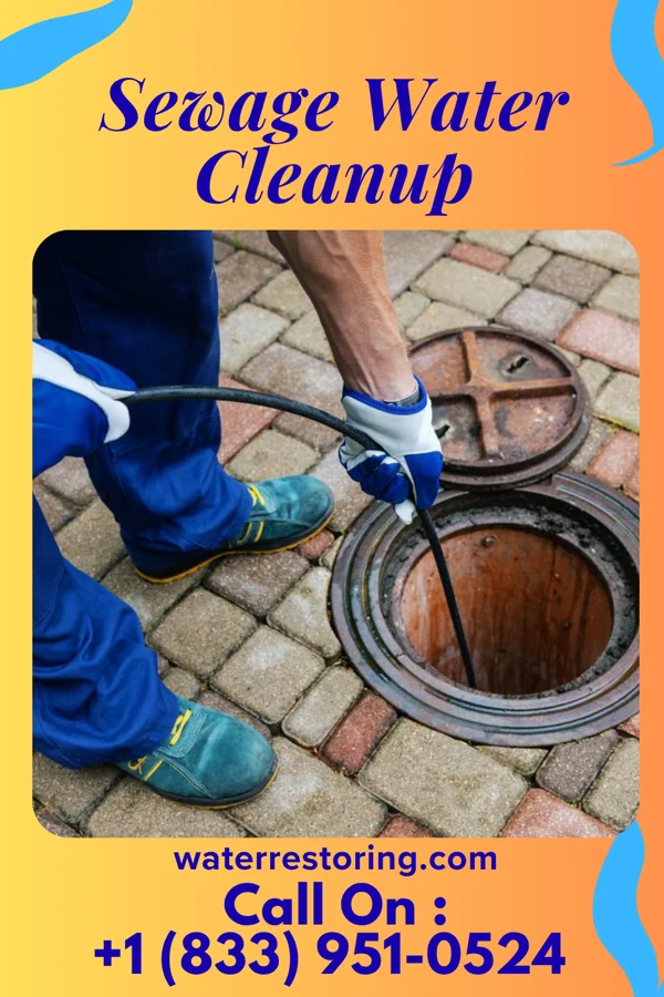 Sewage Water Cleanup in Wayne Lakes, OH