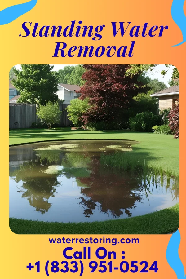 Standing Water Removal in Wayne Lakes, OH